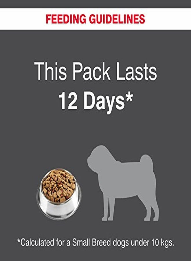 Drools Focus Starter Super Premium Dog Food - Kit, 1.2kg - Image 2